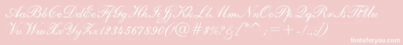 フォントE111agio – ピンクの背景に白い文字