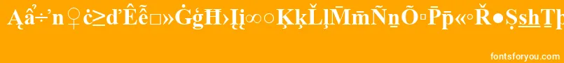 TimesNewRomanSpecialG2Bold Font – White Fonts on Orange Background