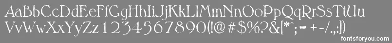 MelbourneantiqueLightRegular-Schriftart – Weiße Schriften auf grauem Hintergrund