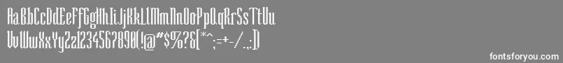 Sonarr-fontti – valkoiset fontit harmaalla taustalla