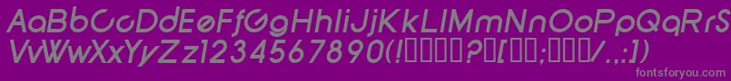 SfNewRepublicBoldItalic Font – Gray Fonts on Purple Background