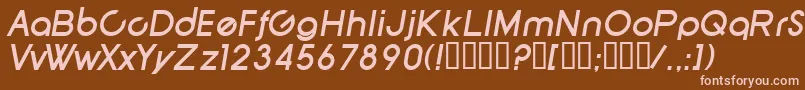 SfNewRepublicBoldItalic Font – Pink Fonts on Brown Background