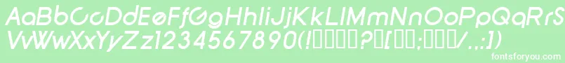SfNewRepublicBoldItalic Font – White Fonts on Green Background