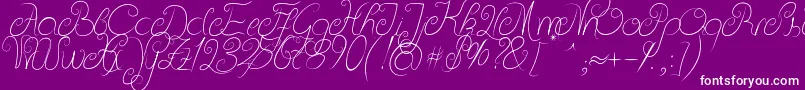 DeliciousCurls-Schriftart – Weiße Schriften auf violettem Hintergrund