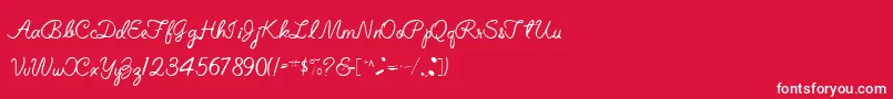 ElizabethSemiScriptRegular Font – White Fonts on Red Background