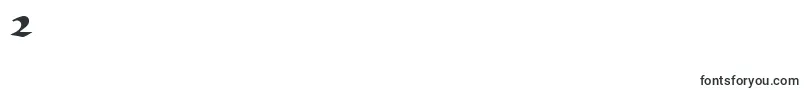 NomadscriptsskRegular Font – Fonts for Digit 2