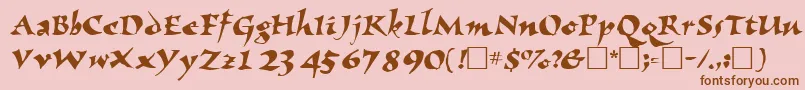 NomadscriptsskRegular Font – Brown Fonts on Pink Background