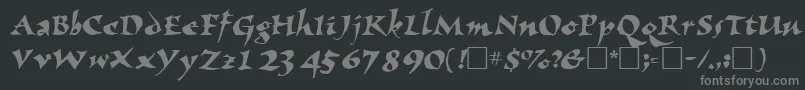 NomadscriptsskRegular Font – Gray Fonts on Black Background