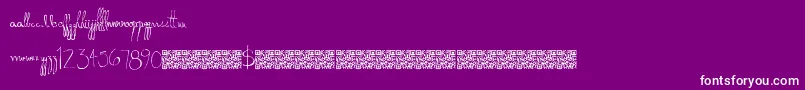 Donkeypunch Font – White Fonts on Purple Background