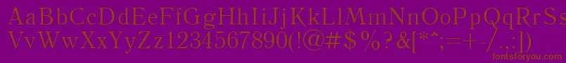 Literaturnayactt Font – Brown Fonts on Purple Background