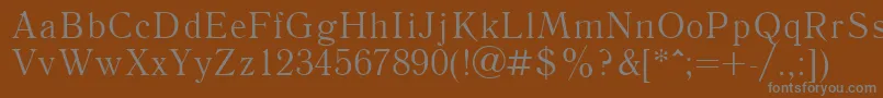 フォントLiteraturnayactt – 茶色の背景に灰色の文字