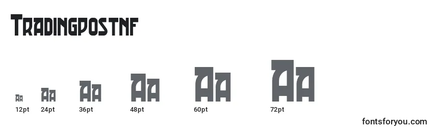 Tradingpostnf Font Sizes