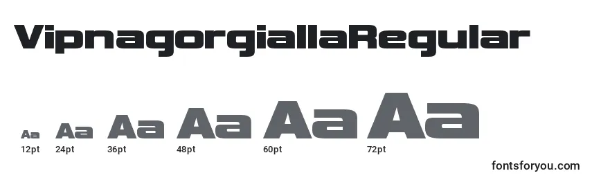 Размеры шрифта VipnagorgiallaRegular