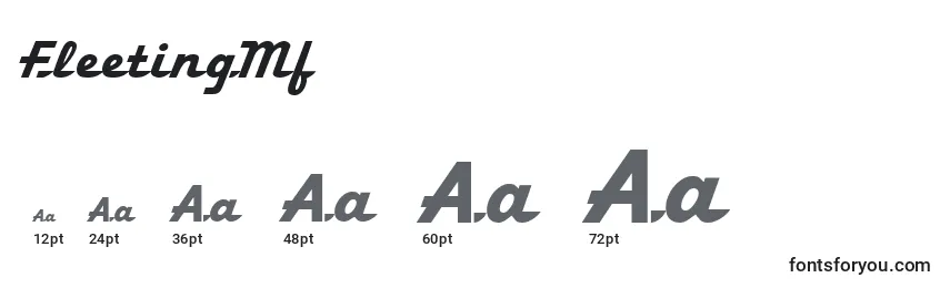 FleetingMf Font Sizes