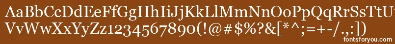 MsReferenceSerif Font – White Fonts on Brown Background