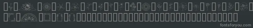 Шрифт WildflowerIii – серые шрифты на чёрном фоне