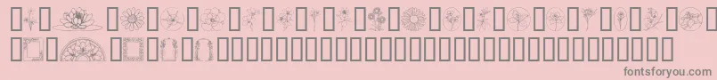 WildflowerIii Font – Gray Fonts on Pink Background