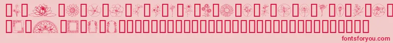 WildflowerIii-Schriftart – Rote Schriften auf rosa Hintergrund