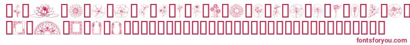 Шрифт WildflowerIii – красные шрифты на белом фоне
