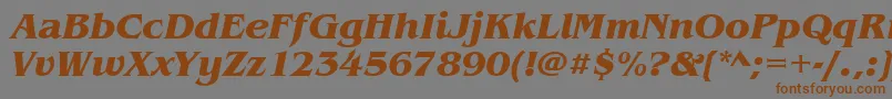 BenguiatitcteeBoldItalic Font – Brown Fonts on Gray Background