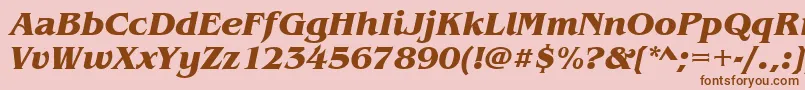 BenguiatitcteeBoldItalic Font – Brown Fonts on Pink Background