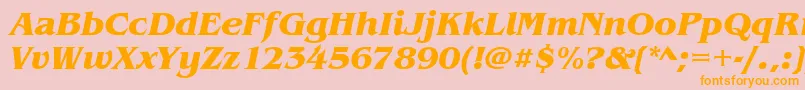 BenguiatitcteeBoldItalic Font – Orange Fonts on Pink Background