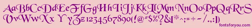 Newborou Font – Purple Fonts on Pink Background