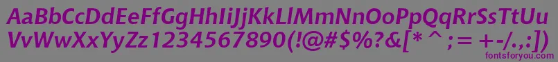 フォントChiantiBoldItWin95bt – 紫色のフォント、灰色の背景