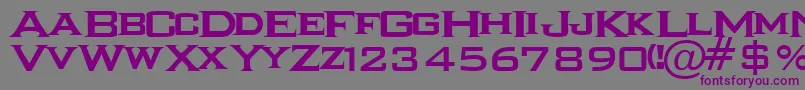 IkarusRegular Font – Purple Fonts on Gray Background