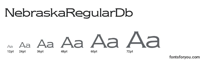 Размеры шрифта NebraskaRegularDb