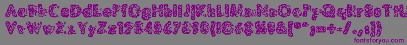 MoldyPillowregular Font – Purple Fonts on Gray Background
