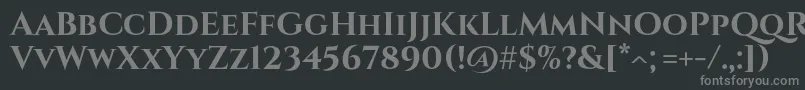 フォントCinzelBold – 黒い背景に灰色の文字