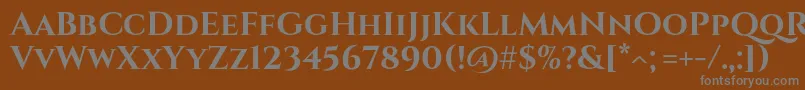 フォントCinzelBold – 茶色の背景に灰色の文字