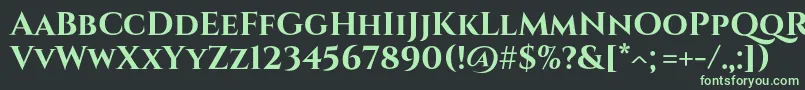 フォントCinzelBold – 黒い背景に緑の文字