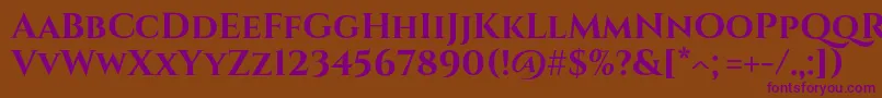 CinzelBold Font – Purple Fonts on Brown Background