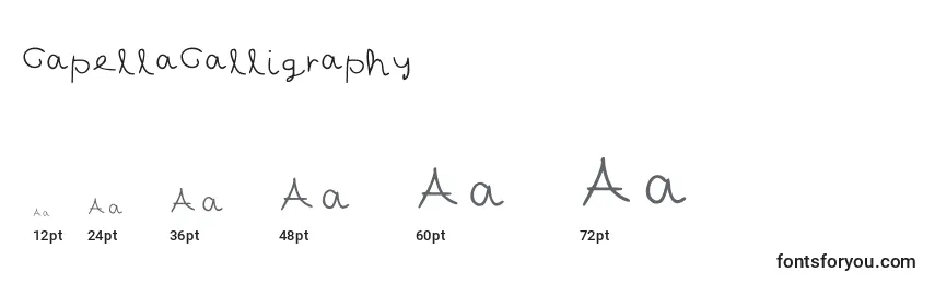 CapellaCalligraphy Font Sizes