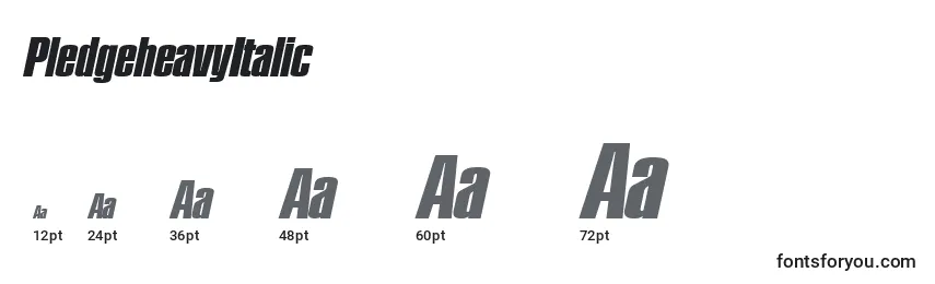 PledgeheavyItalic Font Sizes