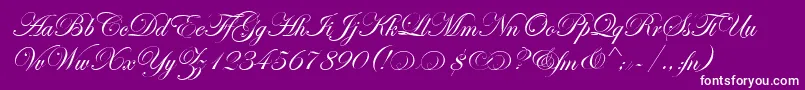 EdwardianScrAltItcTt-Schriftart – Weiße Schriften auf violettem Hintergrund