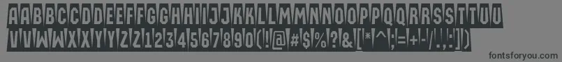 AMachinaortocmsw Font – Black Fonts on Gray Background