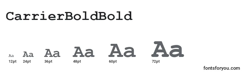 CarrierBoldBold Font Sizes
