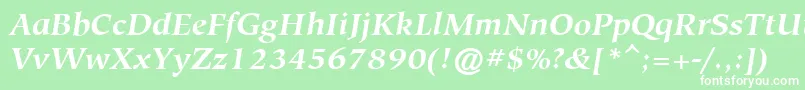 HiroshigeAttBoldItalic Font – White Fonts on Green Background