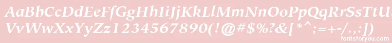 HiroshigeAttBoldItalic Font – White Fonts on Pink Background