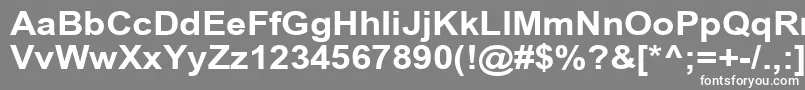 フォントArialCyr110b – 灰色の背景に白い文字