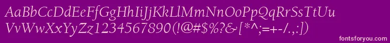 ItcBerkeleyOldstyleLtBookItalic Font – Pink Fonts on Purple Background