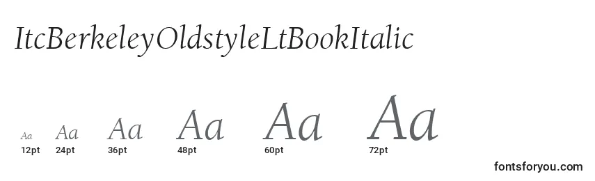 Размеры шрифта ItcBerkeleyOldstyleLtBookItalic