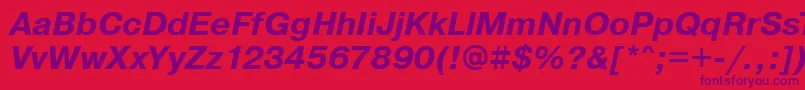 PragmaticaBoldOblique Font – Purple Fonts on Red Background