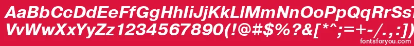 フォントPragmaticaBoldOblique – 赤い背景に白い文字