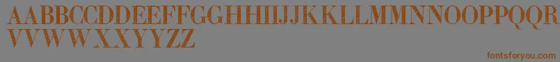 Zierinitialentwo Font – Brown Fonts on Gray Background