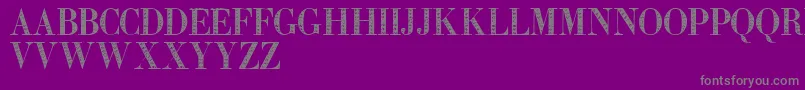 Zierinitialentwo Font – Gray Fonts on Purple Background