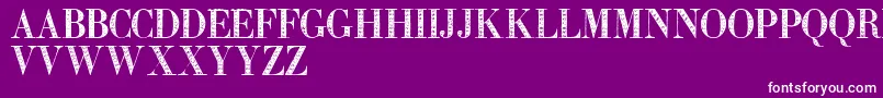 Zierinitialentwo Font – White Fonts on Purple Background